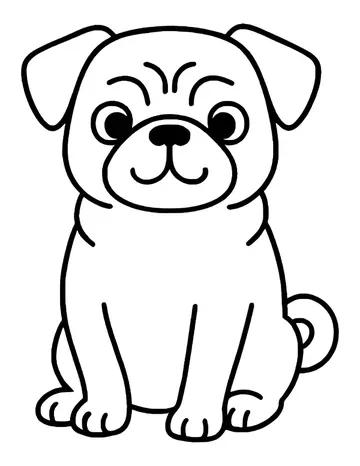 Cute pug sitting with a smile, forehead wrinkles, round eyes and a curly tail