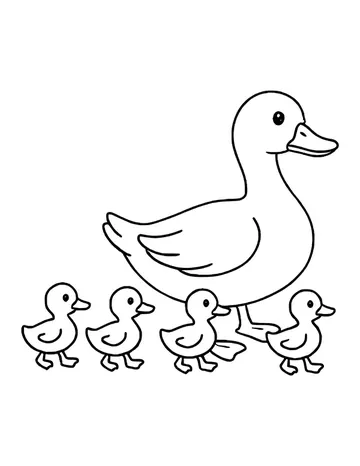 Mother duck walking to the right with four ducklings following in a neat row