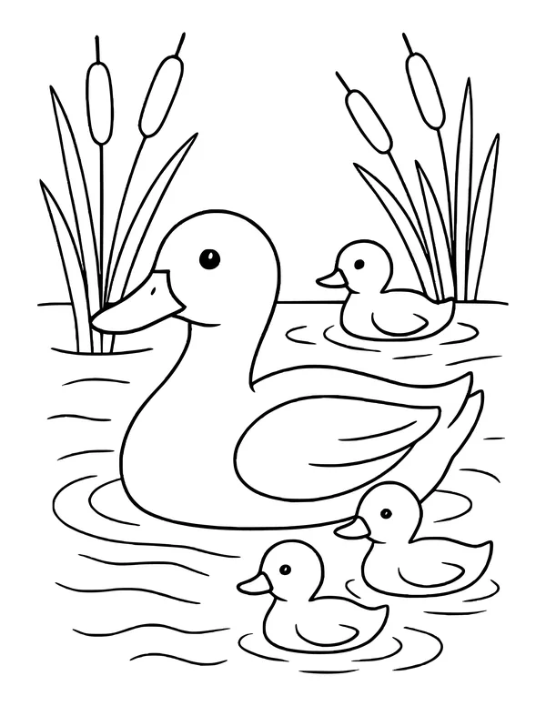 Large duck swimming with two ducklings beside it and one more near the reeds behind