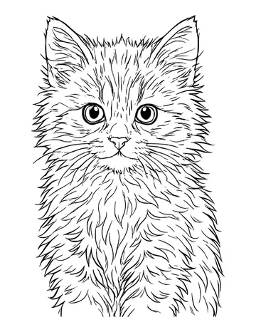 A realistic long-haired kitten facing forward, its fur drawn with many soft strokes.