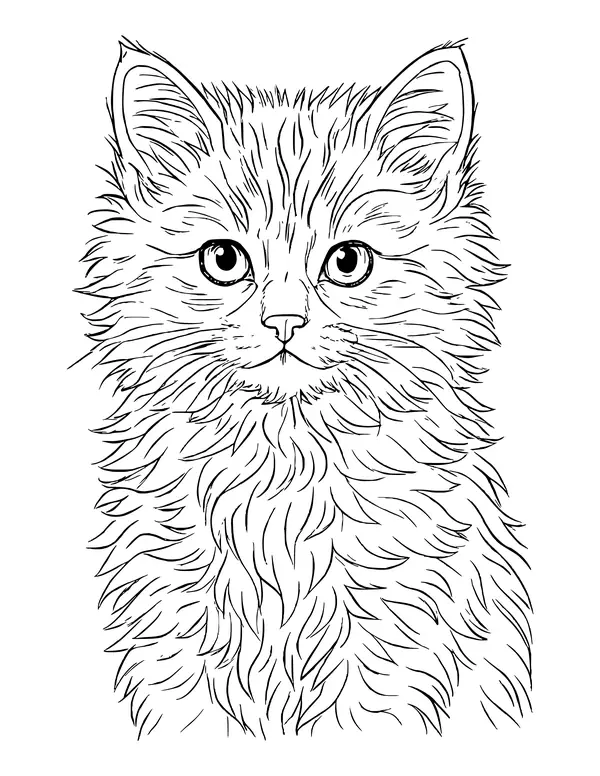 A realistic fluffy kitten portrait with tufted ears, round eyes and a full fur ruff.