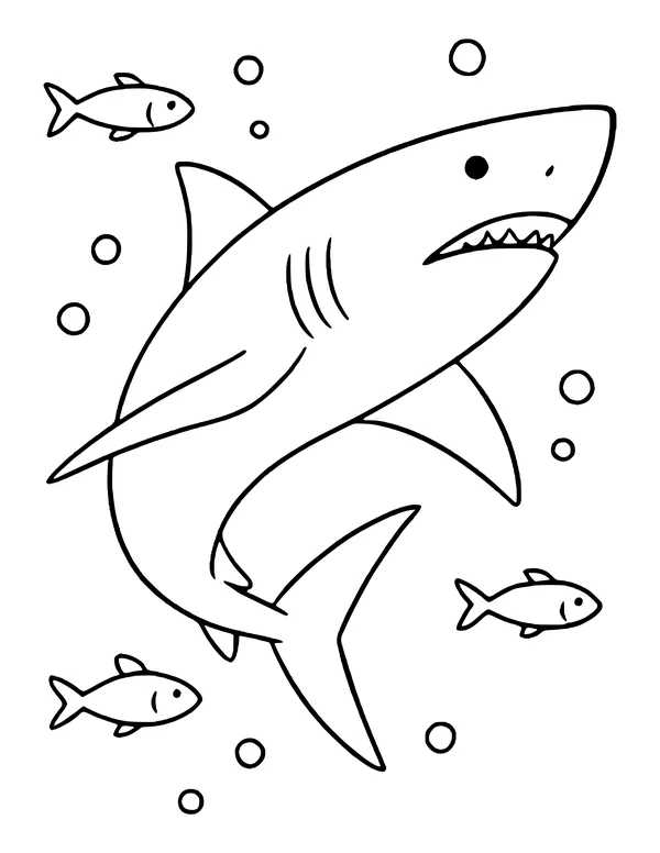 Great white shark curving upward through the water with small fish and round bubbles around it.