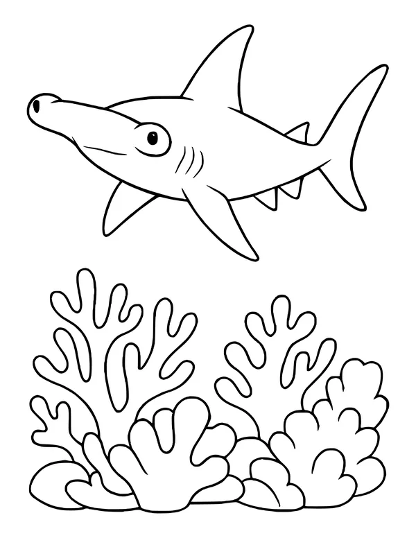 Hammerhead shark swimming left over a thick coral reef with branching and rounded coral shapes.