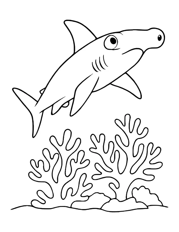 Friendly hammerhead shark swimming up and to the right above branching coral and rocks on the sea floor.