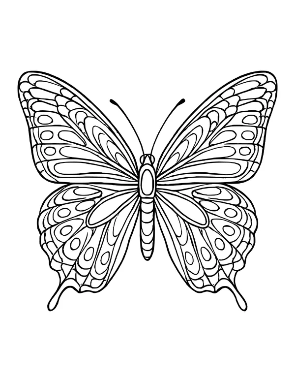 Symmetrical butterfly with straight antennae and wings divided into stripes and rows of oval spots.