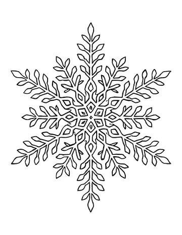 Large six-armed snowflake with fine feathery branches and a star-shaped center